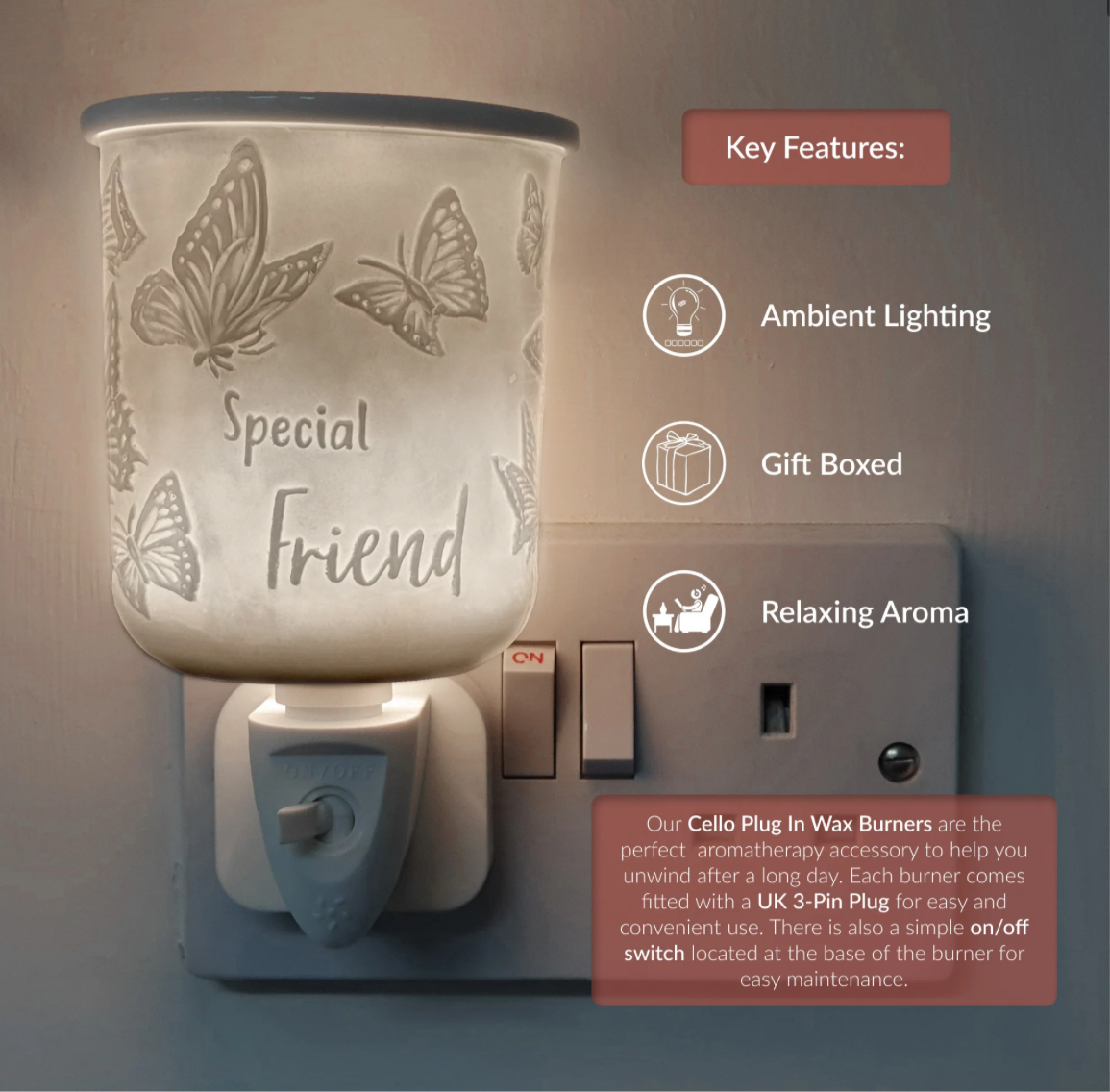 Porcelain Plug In Electric Melt Warmer - Special Friend