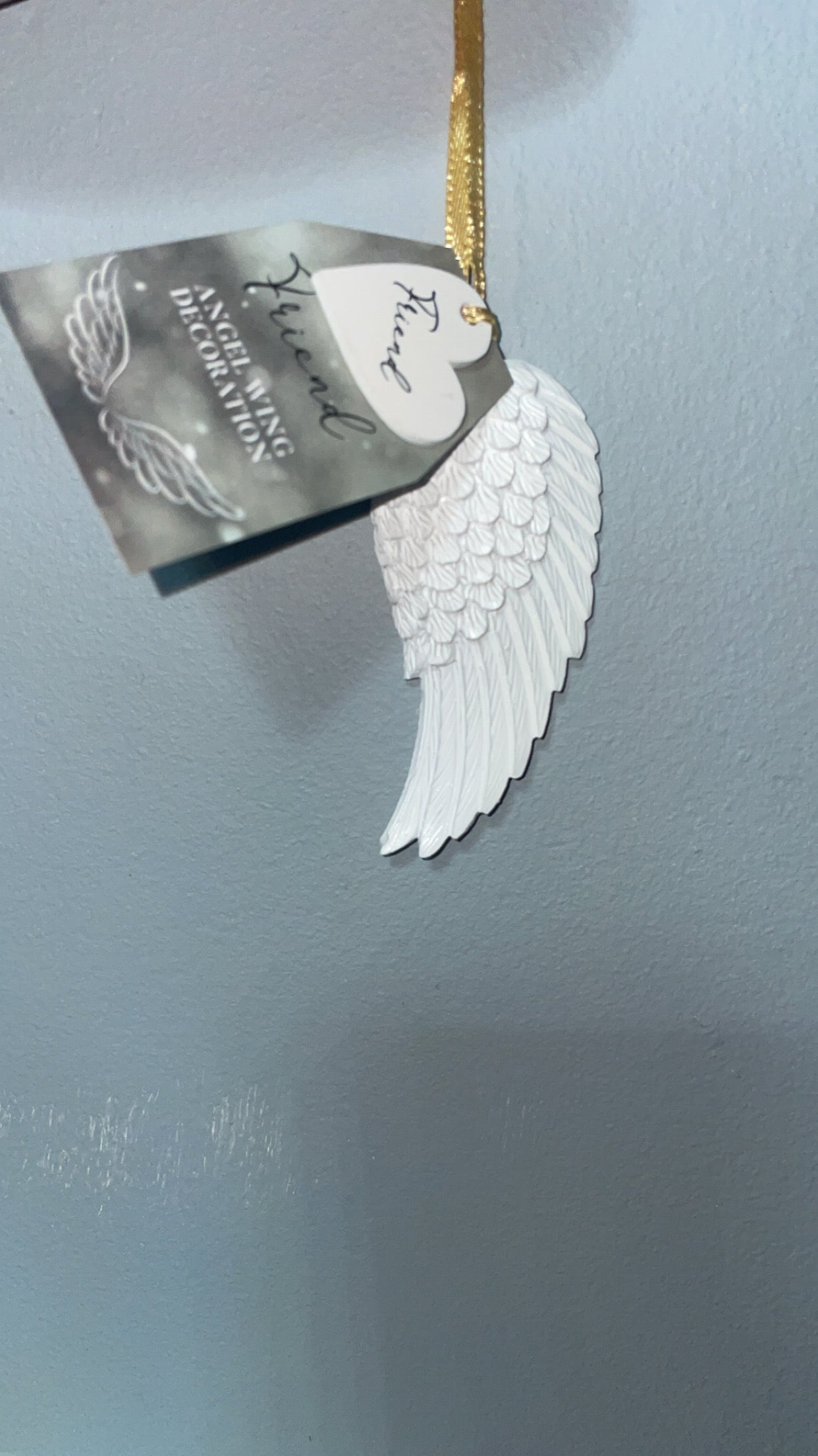 Friend Resin Hanging Angel Wing