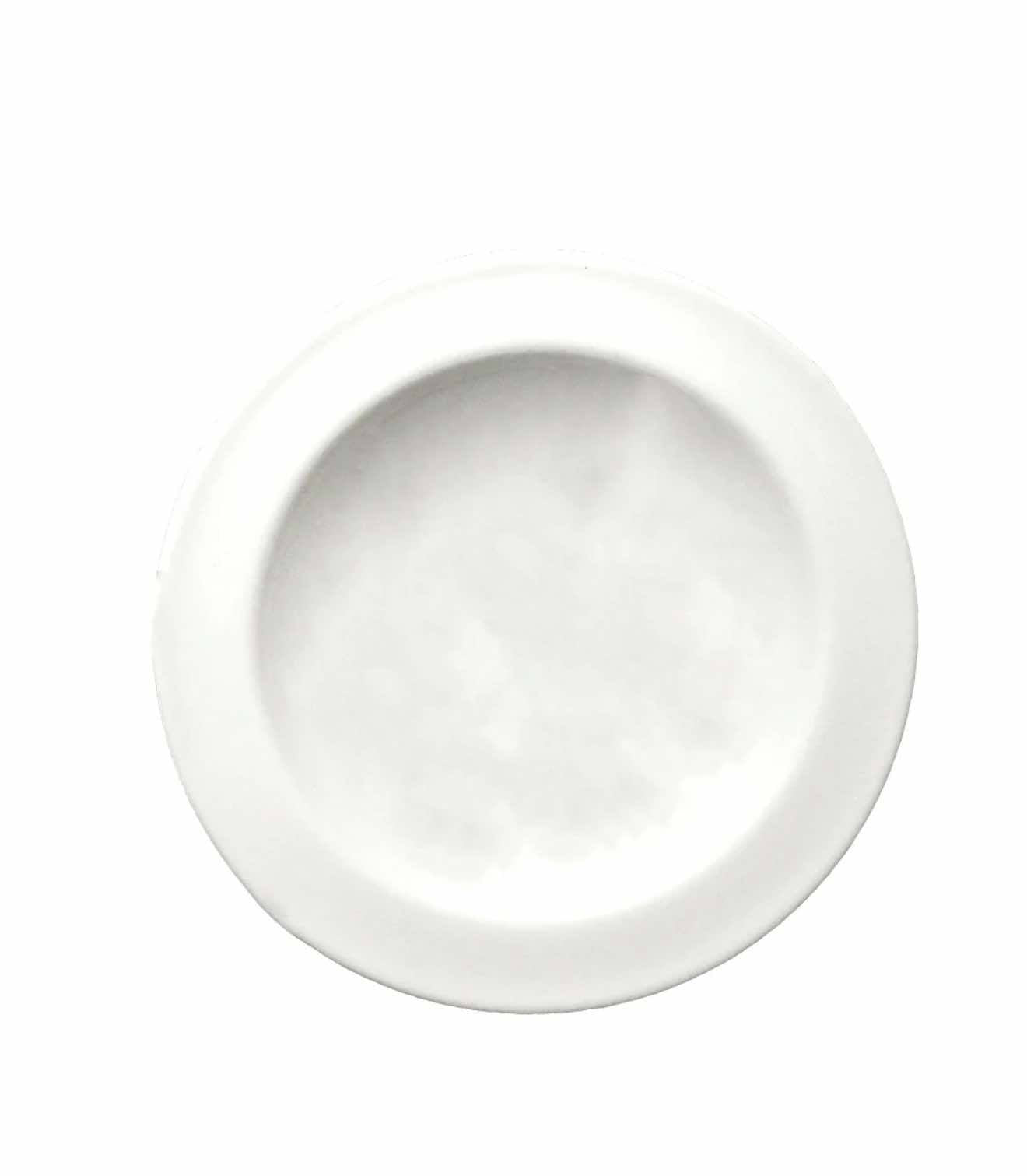 Replacement Porcelain Dish