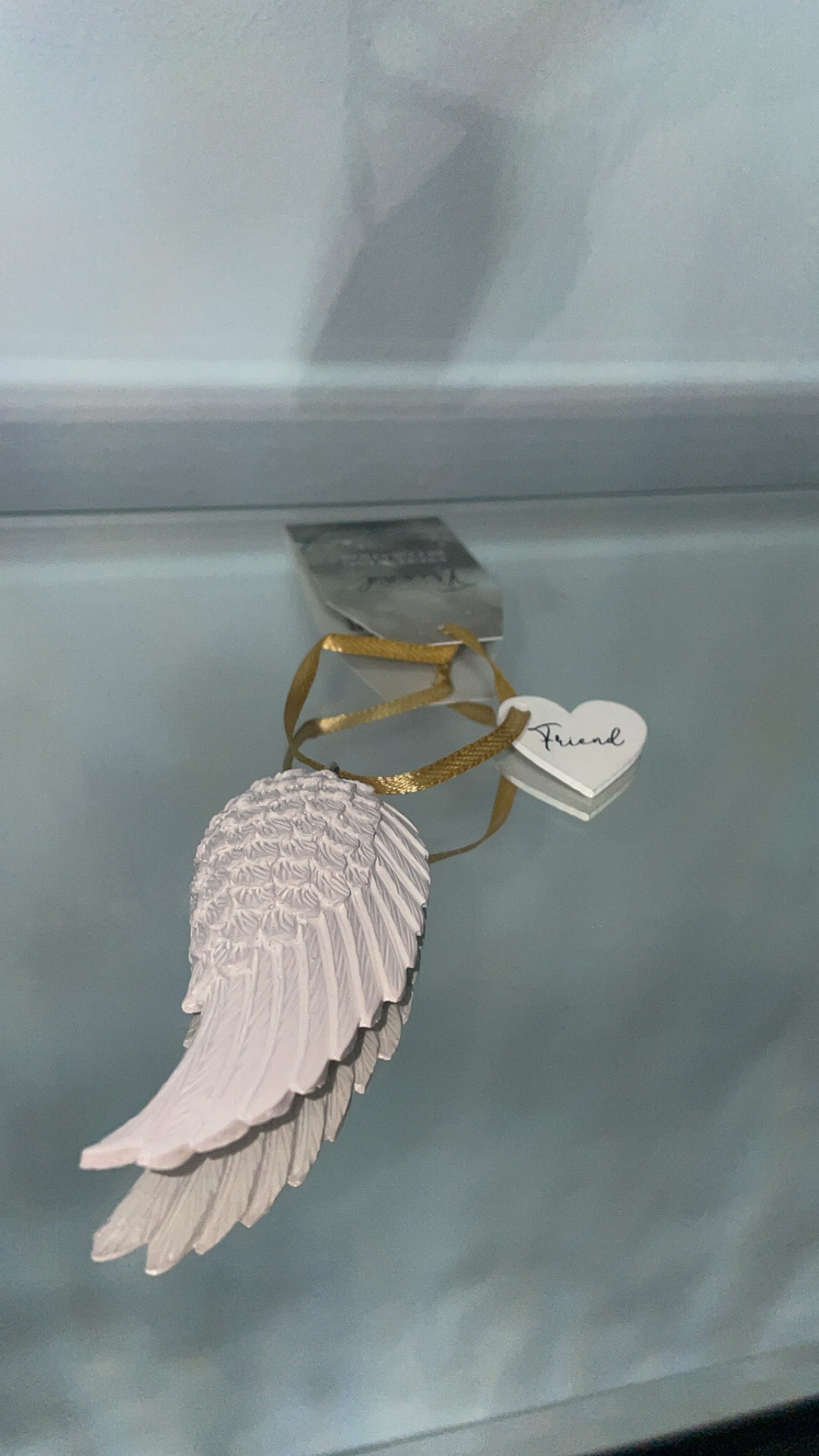 Friend Resin Hanging Angel Wing