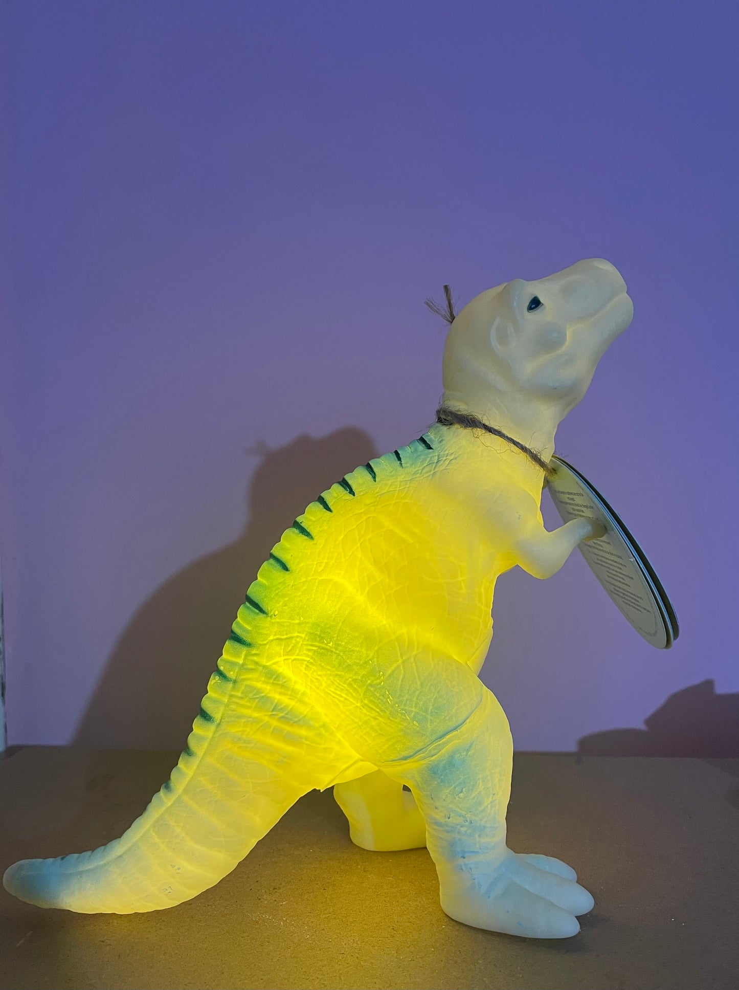 Childs Dinosaur Night Light, 20cm