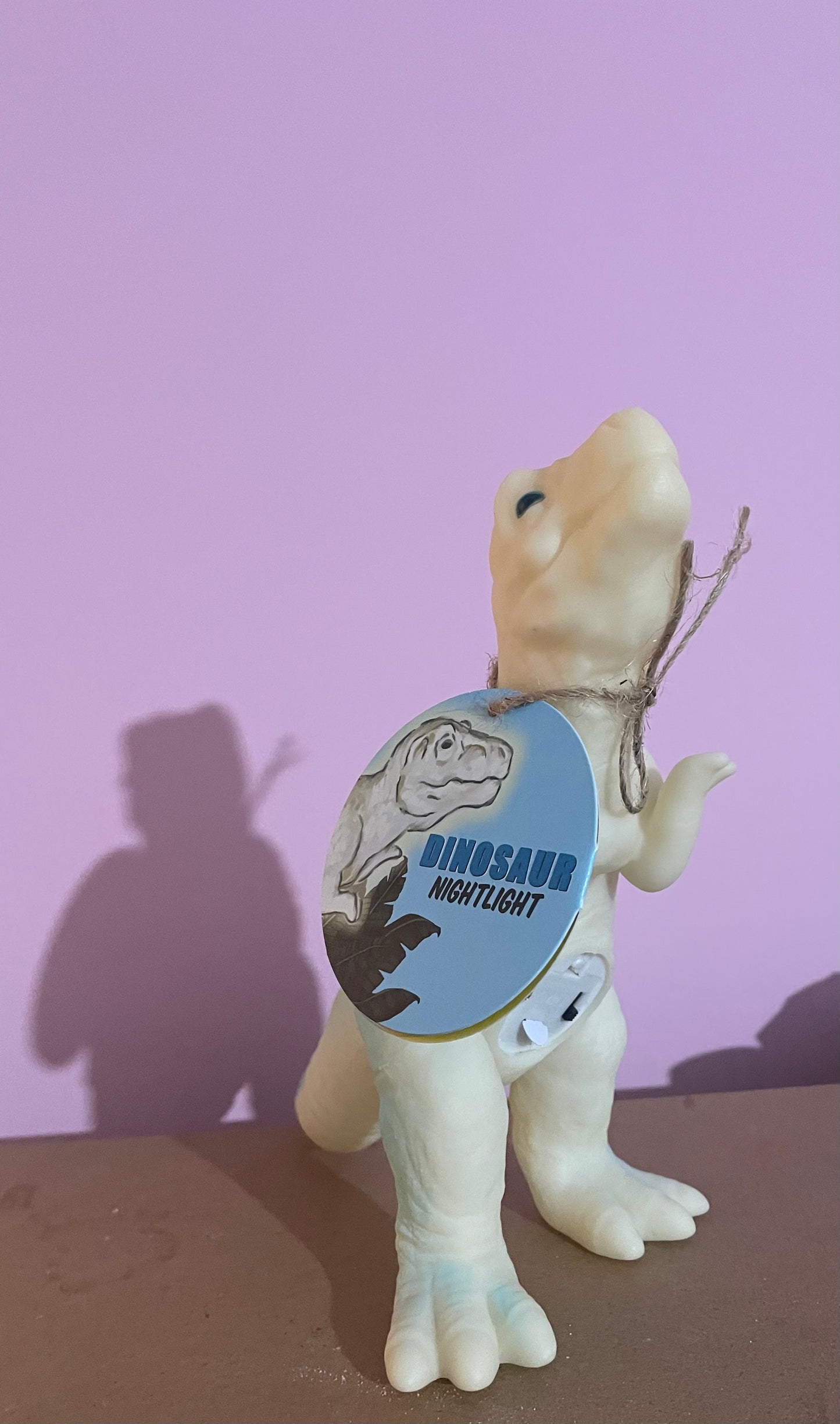 Childs Dinosaur Night Light, 20cm