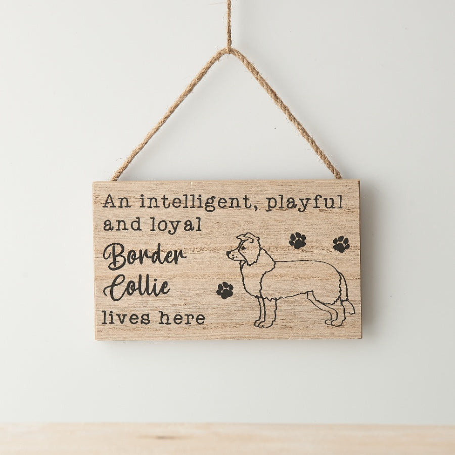 Border Collie Hanging Sign, 15cm