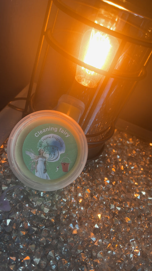 Cleaning Fairy